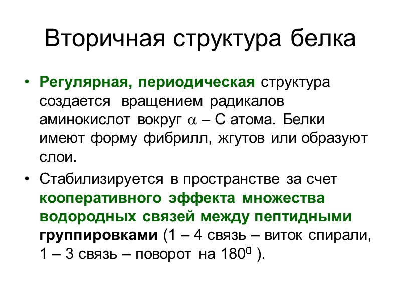 Вторичная структура белка Регулярная, периодическая структура создается  вращением радикалов аминокислот вокруг a –